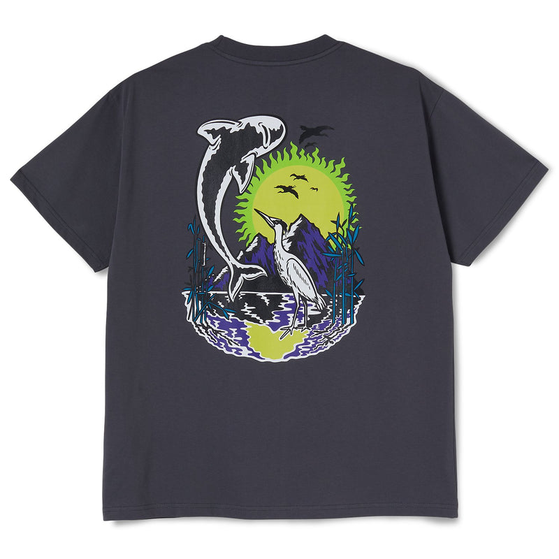 Polar Mt Fuji Tee Graphite