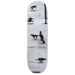 Polar Paul Grund Dog Studies Deck 8.5"