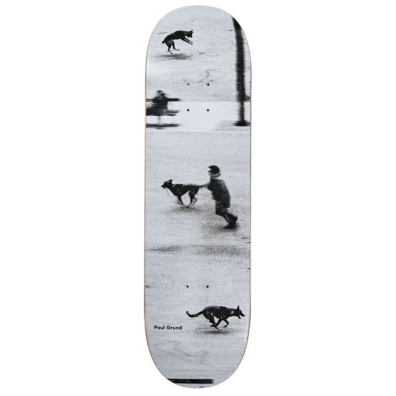 Polar Paul Grund Dog Studies Deck 8.5"