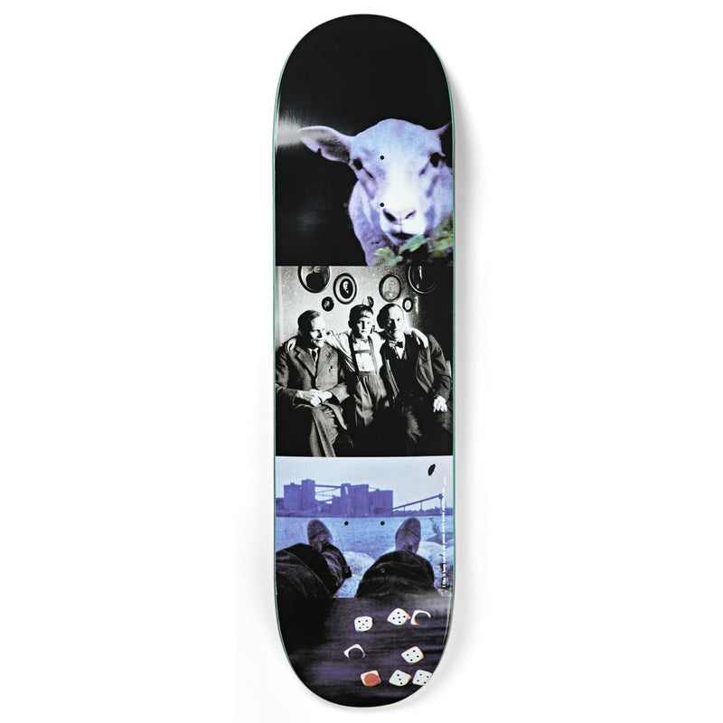 Polar I Like It Here Sheep In Motion Deck 8.125"