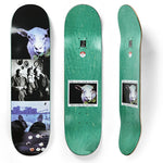 Polar I Like It Here Sheep In Motion Deck 8.125"