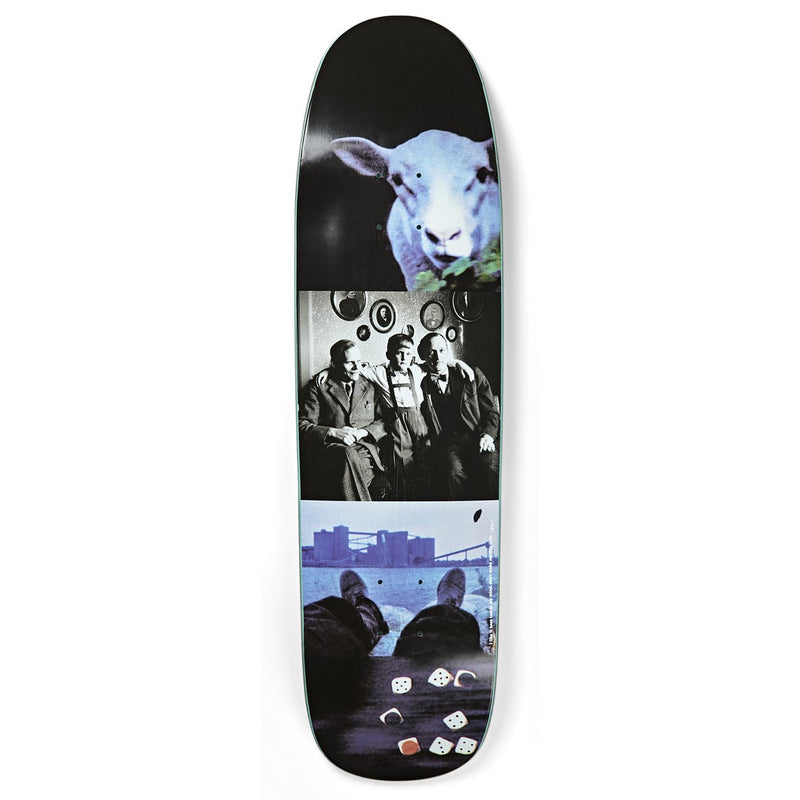Polar I Like It Here Sheep In Motion Deck P9 Shape