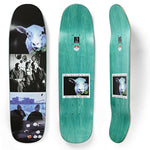 Polar I Like It Here Sheep In Motion Deck P9 Shape